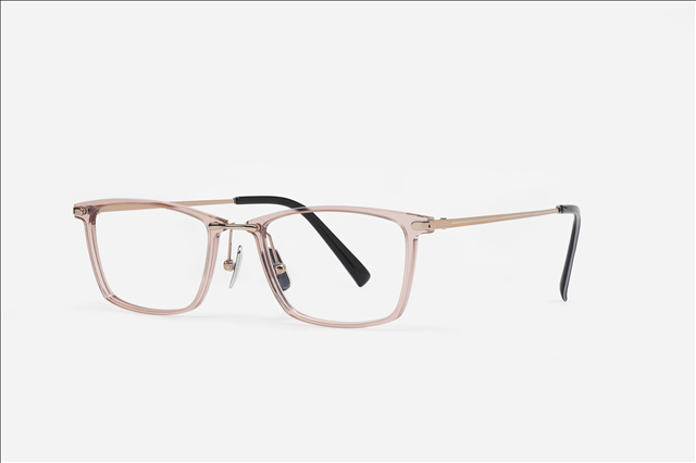 PA2227F color Nylon & titanium temples eyewear glasses frame