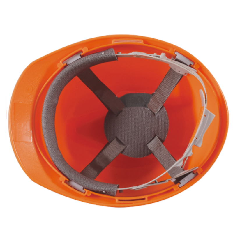 HS-D002 SAFETY HELMET 2