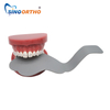 Contrastor Foto de Sino Ortho Bendable - Oclusal