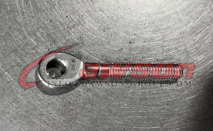 ステンレス鋼アイボルト - Dawson Group Ltd. - 中国メーカー、サプライヤー、工場