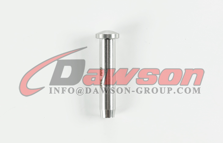 AISI316 ステンレス鋼ドーム ヘッド端子、ステンレス鋼 304 - Dawson Group Ltd. - 中国メーカー、サプライヤー、工場