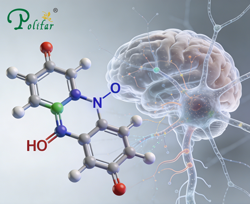 Efectos de la taurina sobre las neuronas