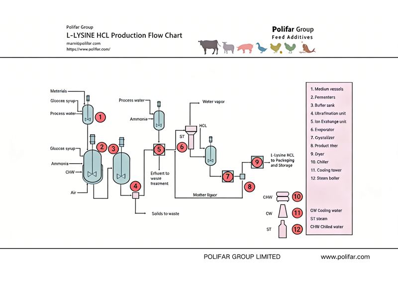 Diagrama de flujo de producci&oacute;n de L-lisina HCL