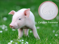 //a3.leadongcdn.com/cloud/lqBqnKmmSRpjnoqjqikp/Polifar-Calcium-Formate.jpg