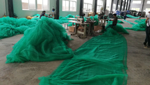 工厂BS施工脚手架安全网