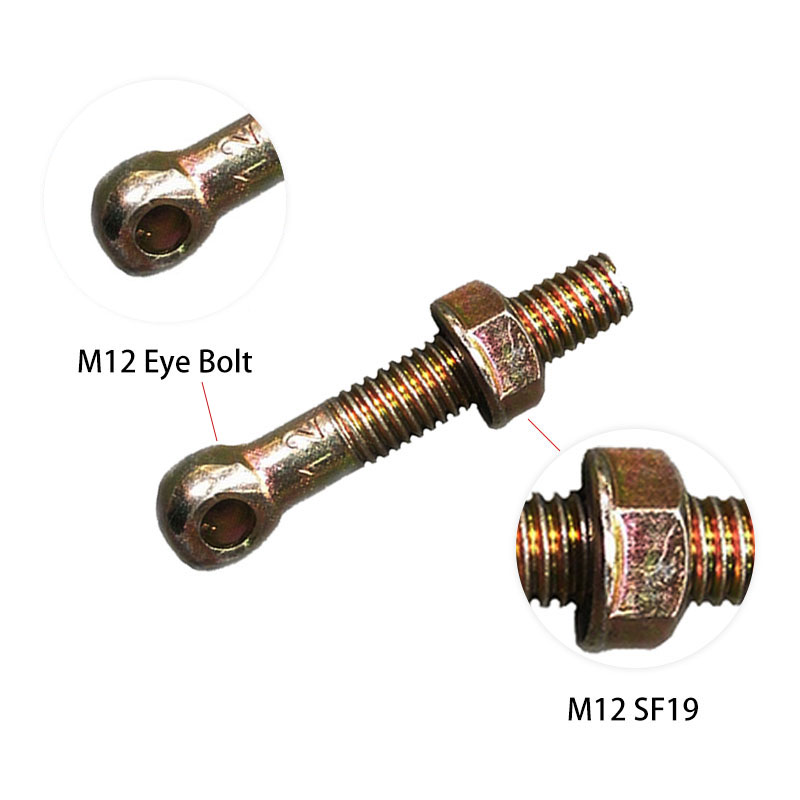 M12眼螺栓和M12 SF19