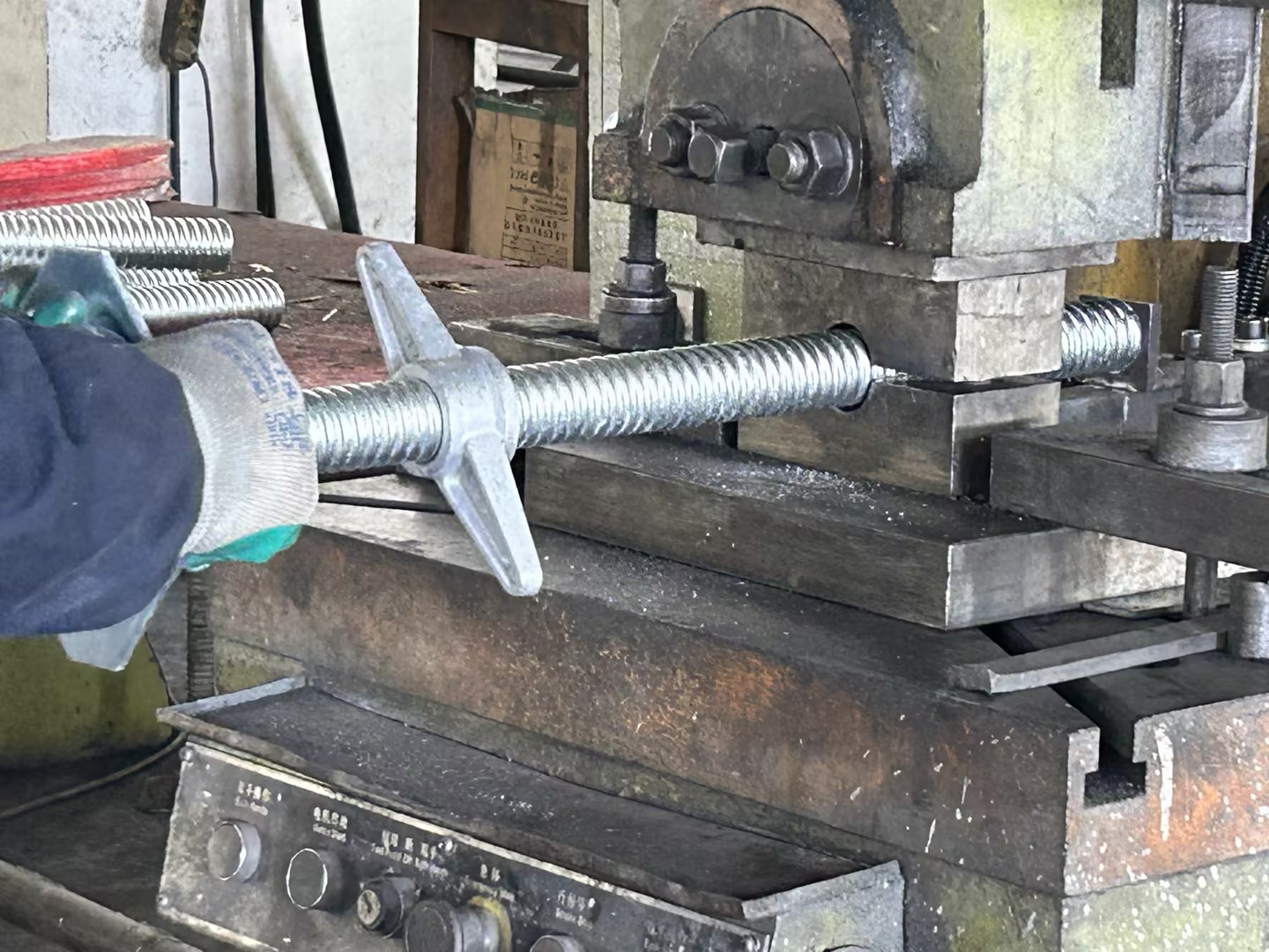 gato base destruir dientes 