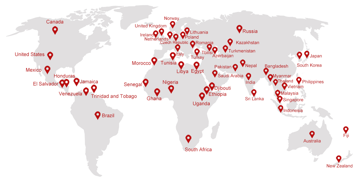 Gama de clientes de andamios EK