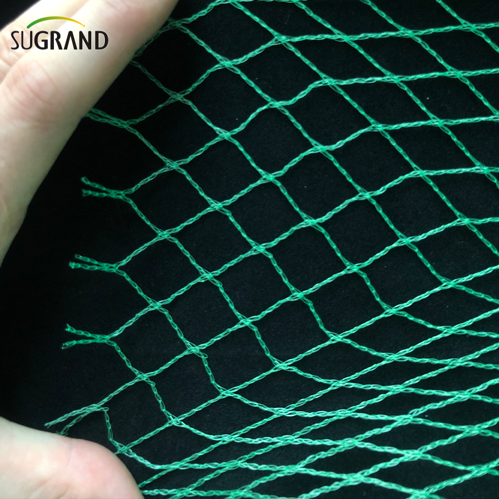 Green Bird Net 4x30m Bird Net para proveedores del mercado de Tailandia