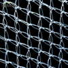 100% HDPE White Anti-Bird Net Nylon Nylon Bird Net