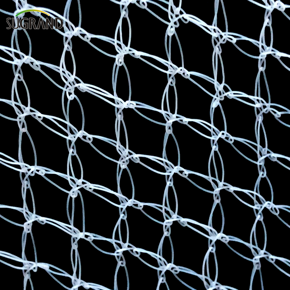 100% HDPE White Anti-Bird Net Nylon Nylon Bird Net