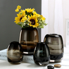 Round Glass Vase Home Living Room Decoration