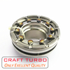 BV43 5303-988-0109/ 5303-970-0109/ 53039880109/ 53039700109 Nozzle Ring for Turbocharger