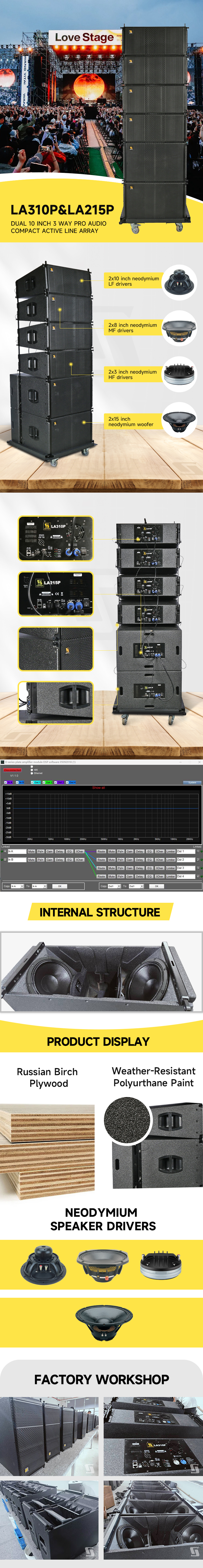 aktives Line -Array -System