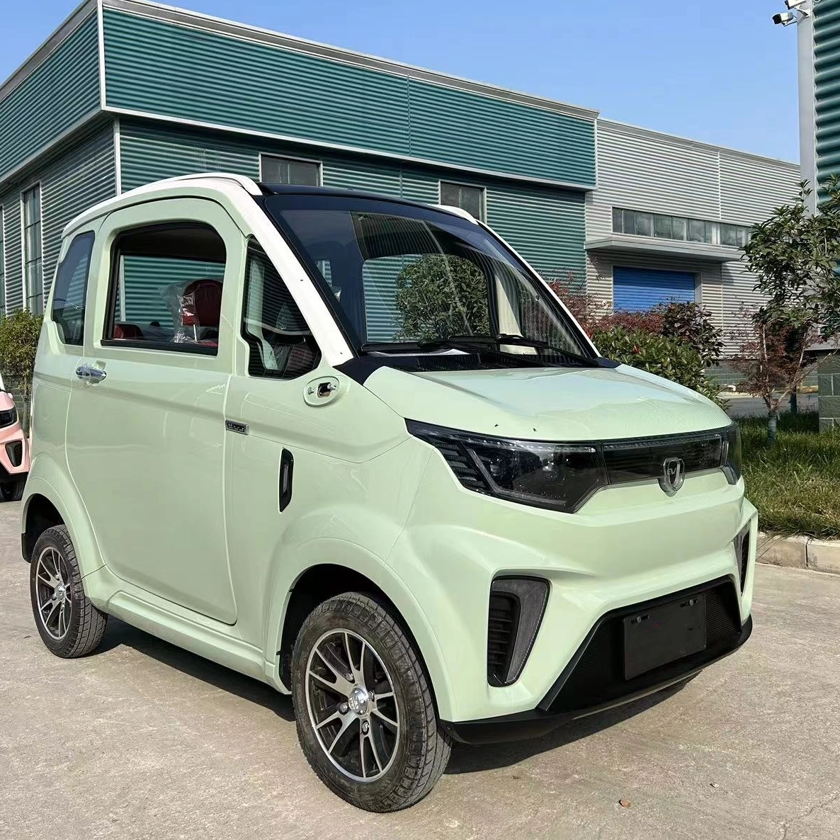 Calle Legal 3000W 45km/h Coche eléctrico Vehículo eléctrico con CEE L6e