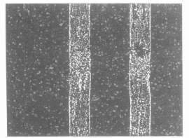 QQ 图片 20240314100810