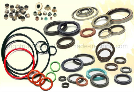 Double Lip Viton Rubber Metric Shaft Oil Seal with Spring