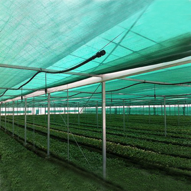 HDPE Green color 150gsm Shade net 