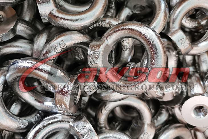 Tuerca de ojo SS DIN 582 - Dawson Group Ltd. - Fabricante, proveedor, f&aacute;brica de China