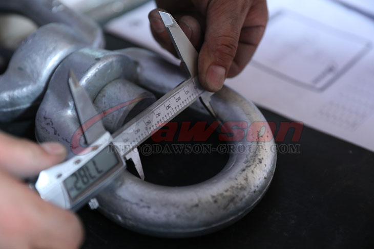 DS355 Giratorio regular forjado, ojo y ojo giratorios - Dawson Group Ltd. - Proveedor, fabricante, f&aacute;brica de China