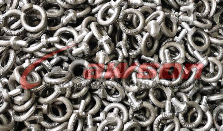 Pernos de ojo galvanizados Tornillo de ojo de elevaci&oacute;n - Dawson Group Ltd. - F&aacute;brica de China, fabricante, proveedor
