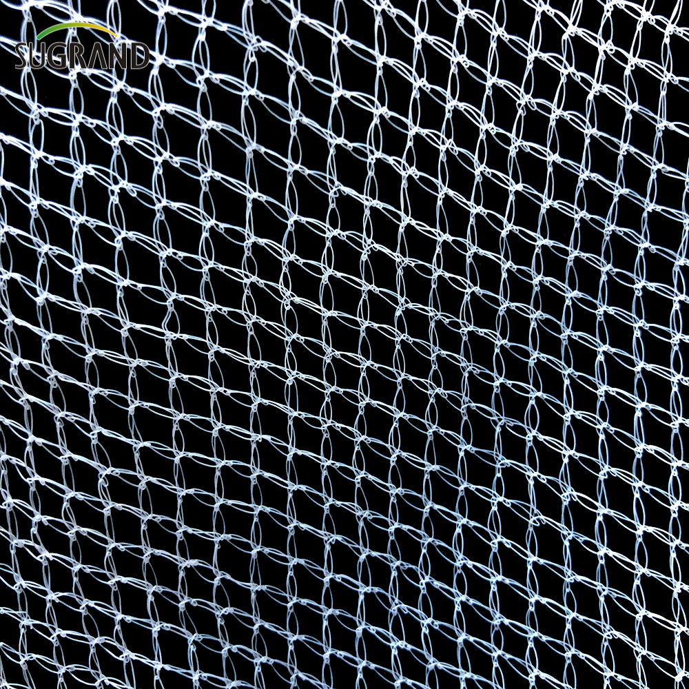 100% HDPE White Anti-Bird Net Nylon Nylon Bird Net