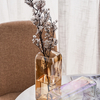 Ion Plating Square Colored Glass Flower Vase for Decoration