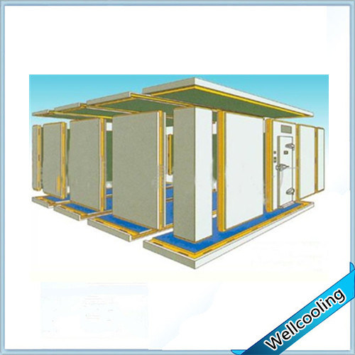 Well Cooling 20cbm Cold Room Freezer Cold Room for Fruit