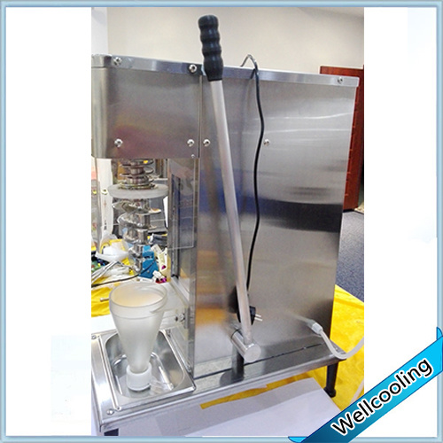 Stainless Steel Fruit Ice Cream Machine