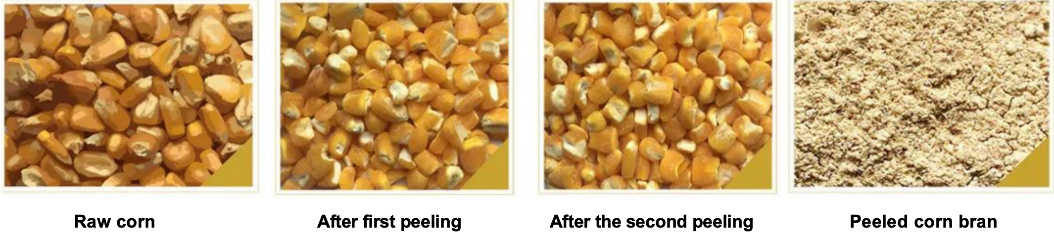 Corn peeling machine3