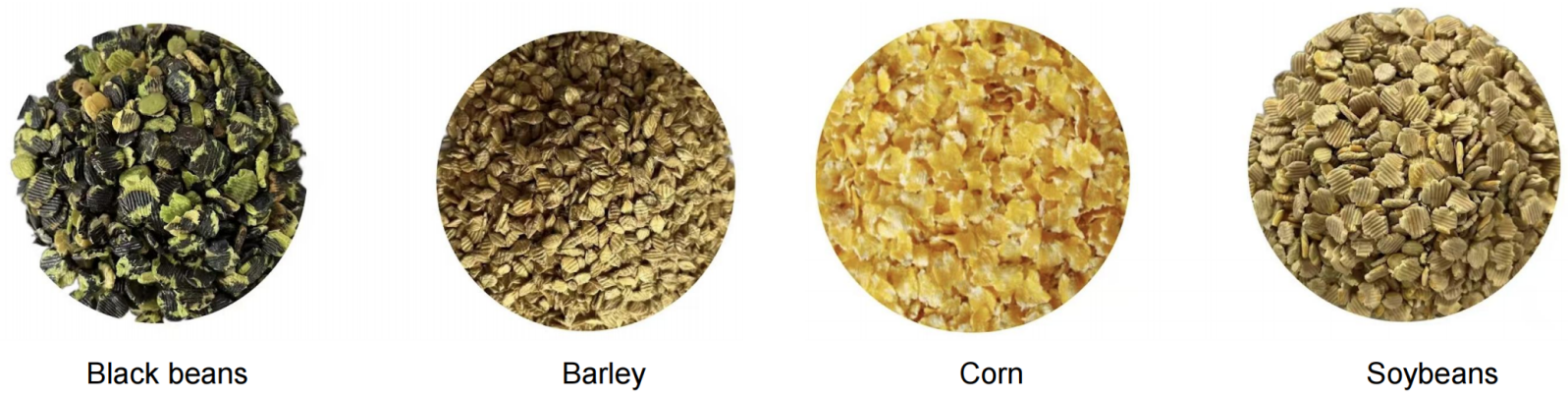 corn flakes flattening machine1