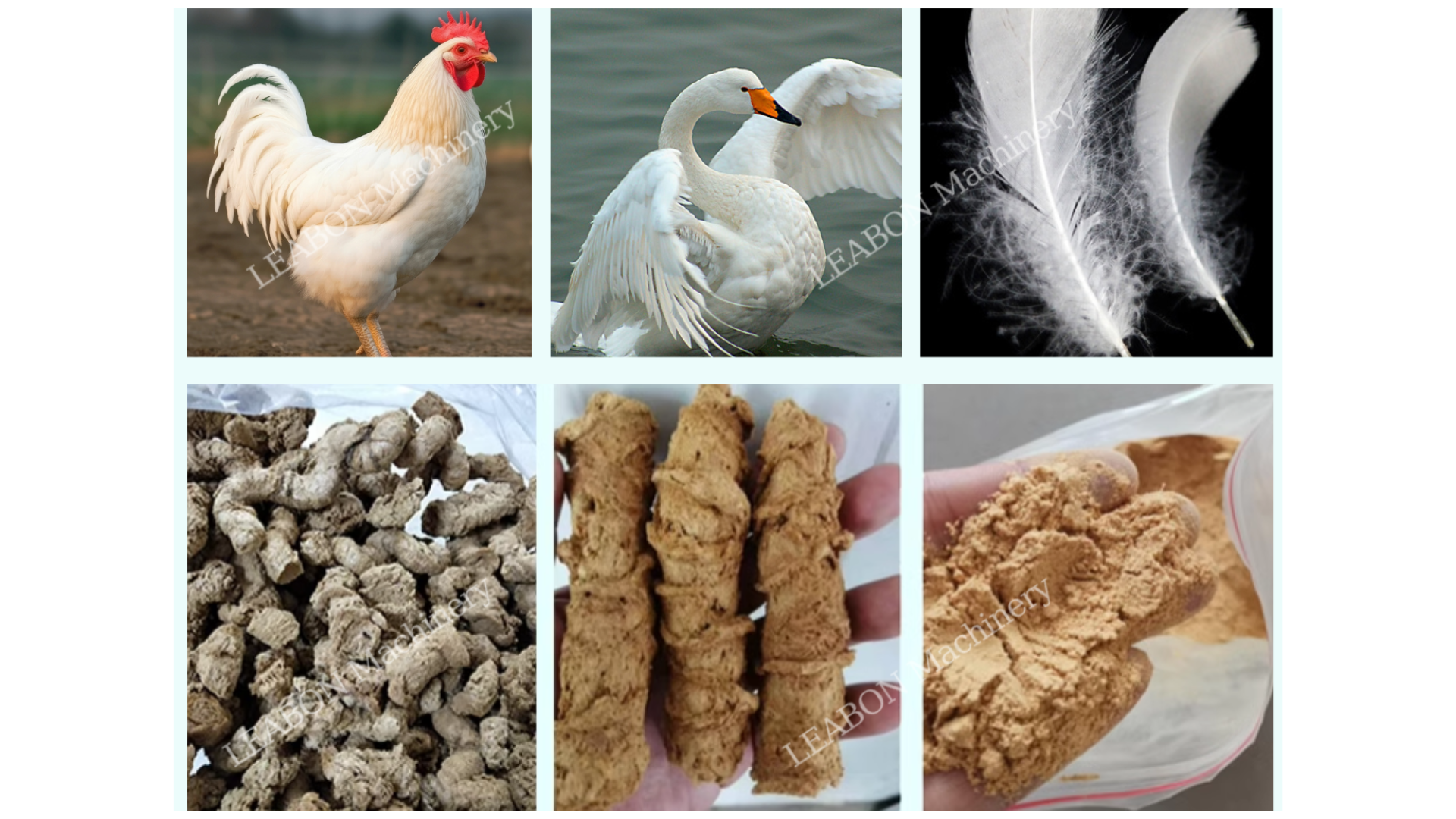 What Is The Use of Feather Puffing Machine?