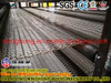Pengeringan Veneer Sabuk Kayu Lapis