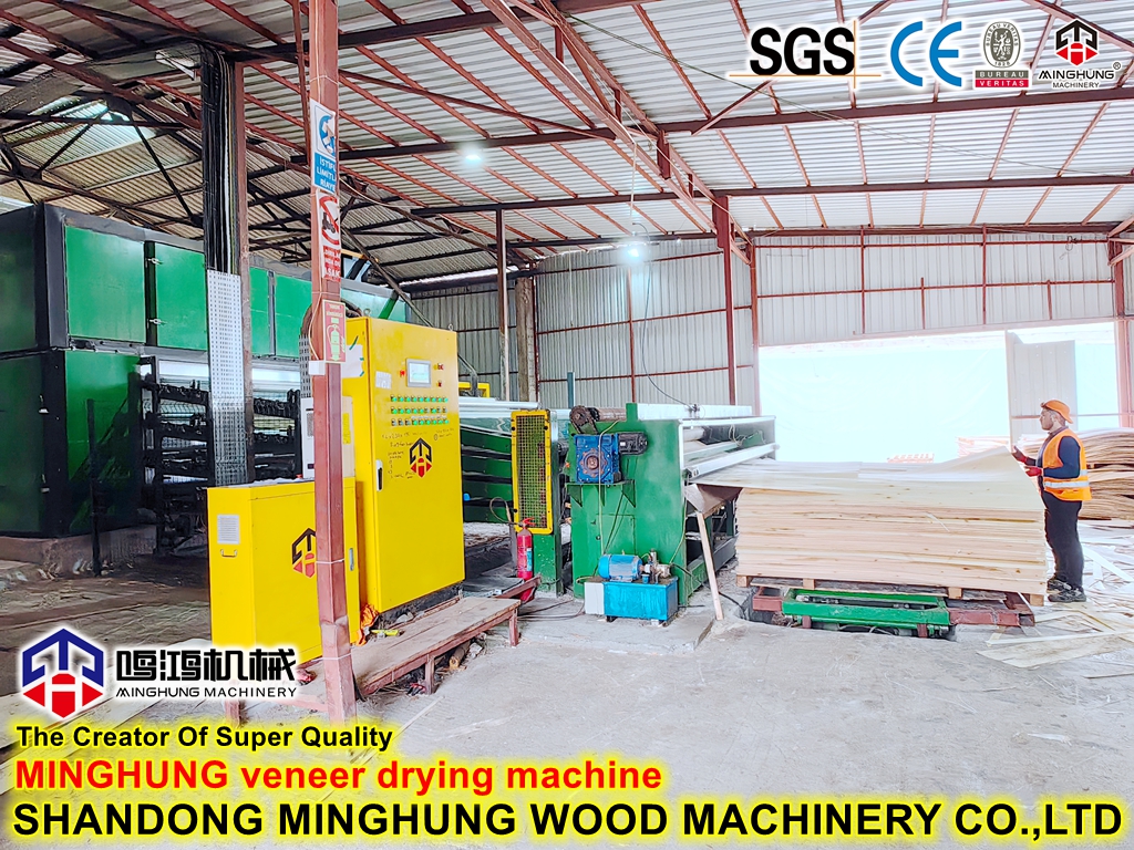 Máquina secadora de chapa (5) Máquina secadora de chapa (5)