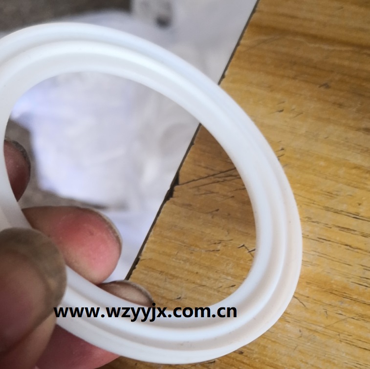 Teflon TC Ferrule Gasket With Lip
