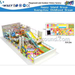 全新设计小型卡通儿童室内游乐场 (H13-60006)