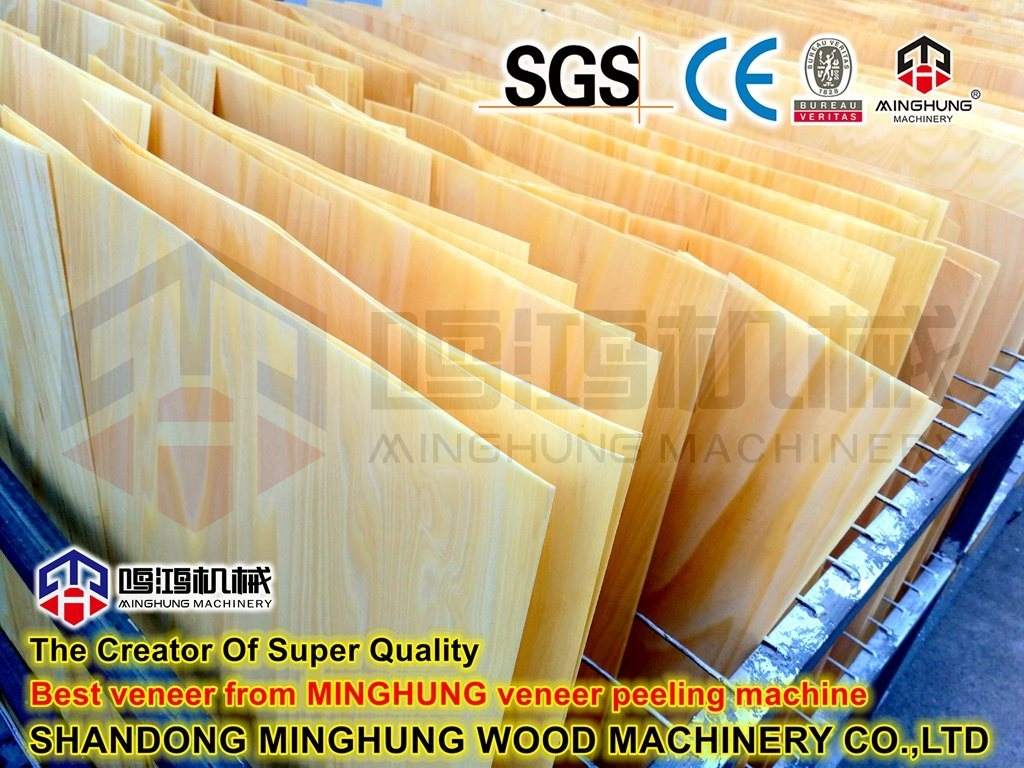 Shandong-Minghung-Kayu-Mesin-Co-Ltd- (2)