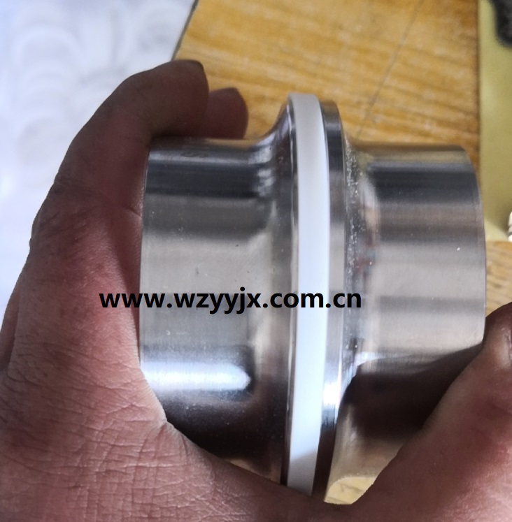 Teflon TC Ferrule Gasket With Lip