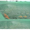 HDPE 25gsm black and green color pond net with peg, applied for pond, cover the pond,