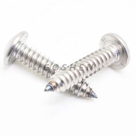 Acero inoxidable 304 Phillips Head Self -Topping Tornillos de metal 