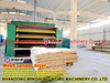 Lini Produksi Veneer Mesin Pengering Veneer Birch Mesh Birch Dryer