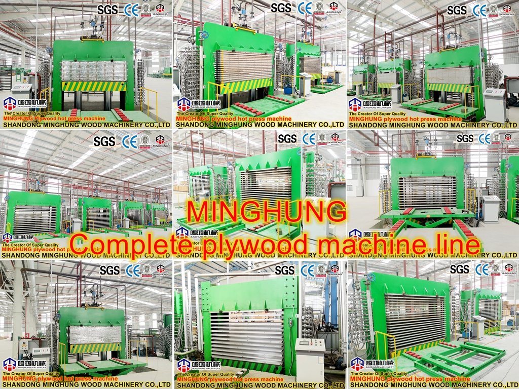Shandong-Minghung-Kayu-Mesin-Co-Ltd- (5)