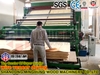 Pengering Veneer Minghung