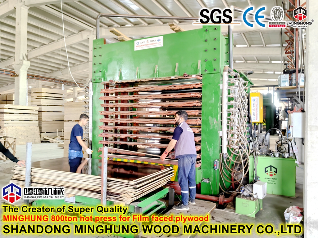 Mesin press panas 800ton untuk kayu lapis berwajah film