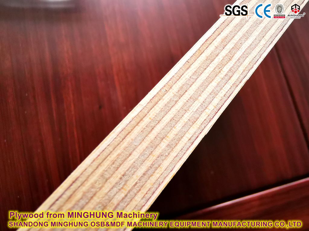 Kayu lapis dari MINGHUNG mesin