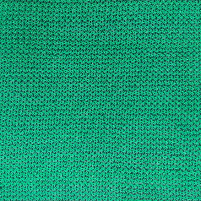 HDPE 100gsm green color scaffold net