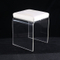 Acrylic Stool JS1005