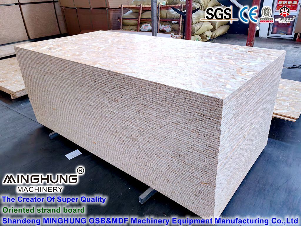 Papan Strand berorientasi OSB dari Lini Mesin Produksi OSB