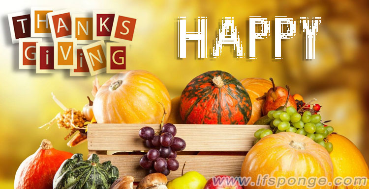 La vie-nano-souhait-vous-un-merveilleux-jour de Thanksgiving