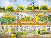 Docking Langsung Veneer Stacker Pasca Pengupasan Tidak Perlu Transfer